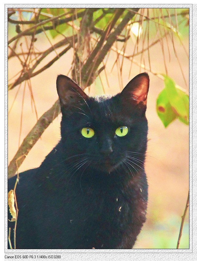 仓促试机《瞎拍》片，买了个新手机还不熟悉，赶紧调教准备上任，哈哈！