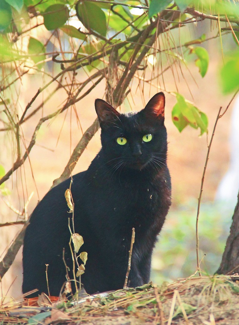 仓促试机《瞎拍》片，买了个新手机还不熟悉，赶紧调教准备上任，哈哈！
