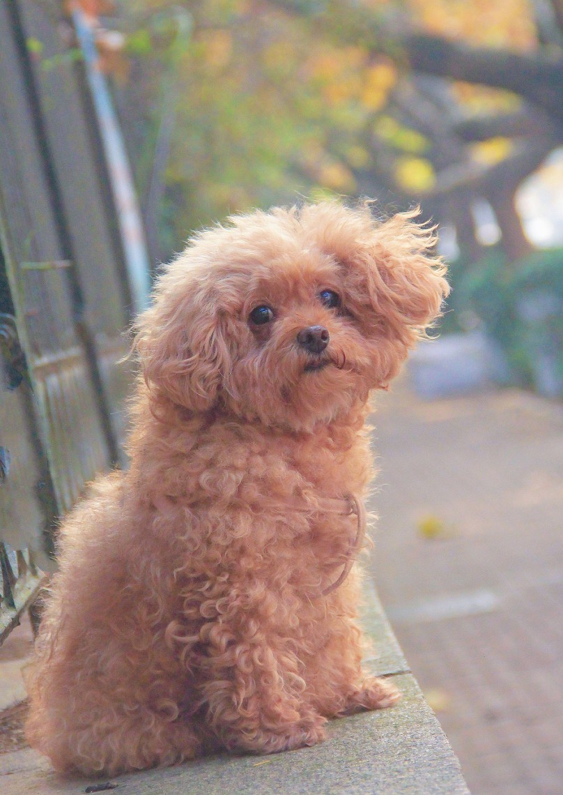 仓促试机《瞎拍》片，买了个新手机还不熟悉，赶紧调教准备上任，哈哈！