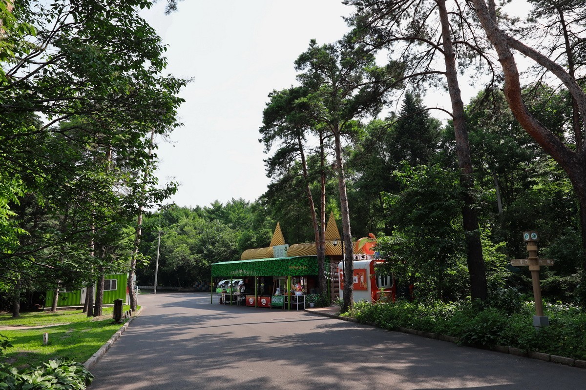 黑龙江森林植物园略影    2。