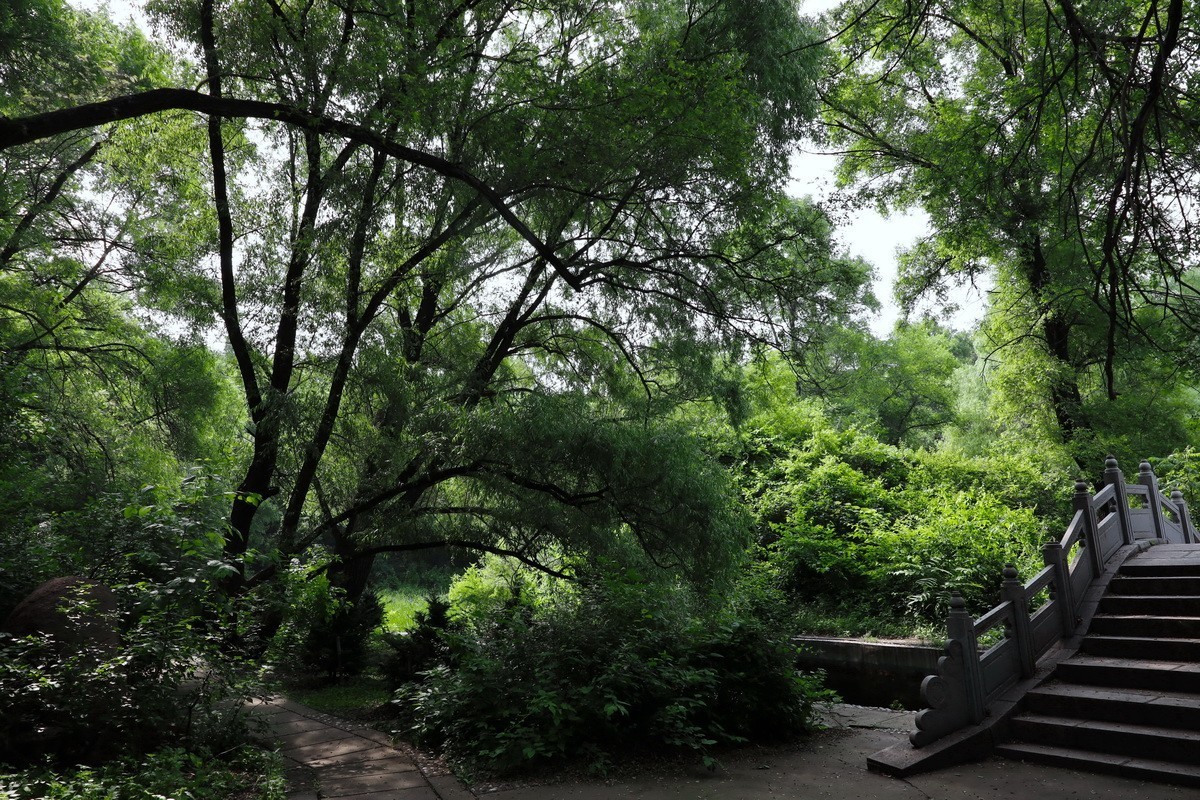 黑龙江森林植物园略影    2。