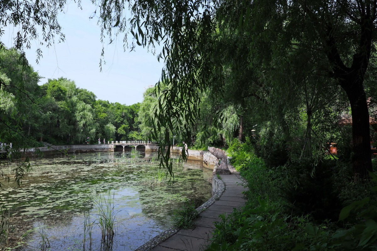 黑龙江森林植物园略影    2。