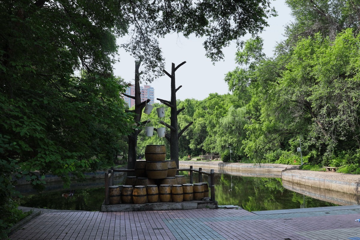 黑龙江森林植物园略影    2。