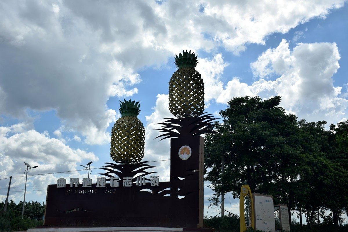 2024夏 海南环岛行（23）徐闻“菠萝的海”