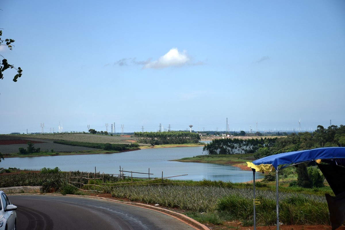 2024夏 海南环岛行（23）徐闻“菠萝的海”