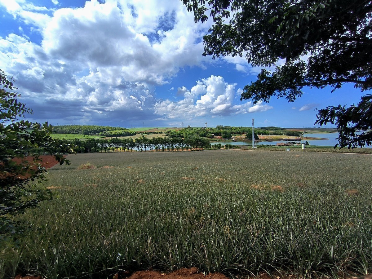 2024夏 海南环岛行（23）徐闻“菠萝的海”