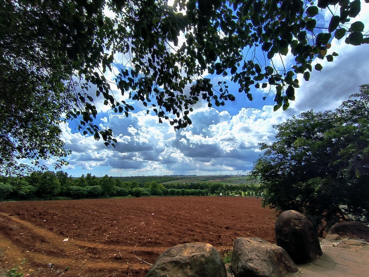 2024夏 海南环岛行（23）徐闻“菠萝的海”