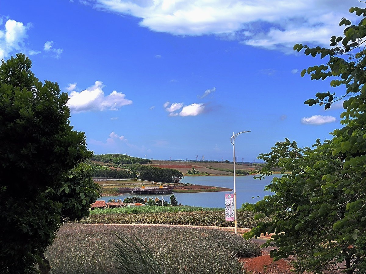 2024夏 海南环岛行（23）徐闻“菠萝的海”