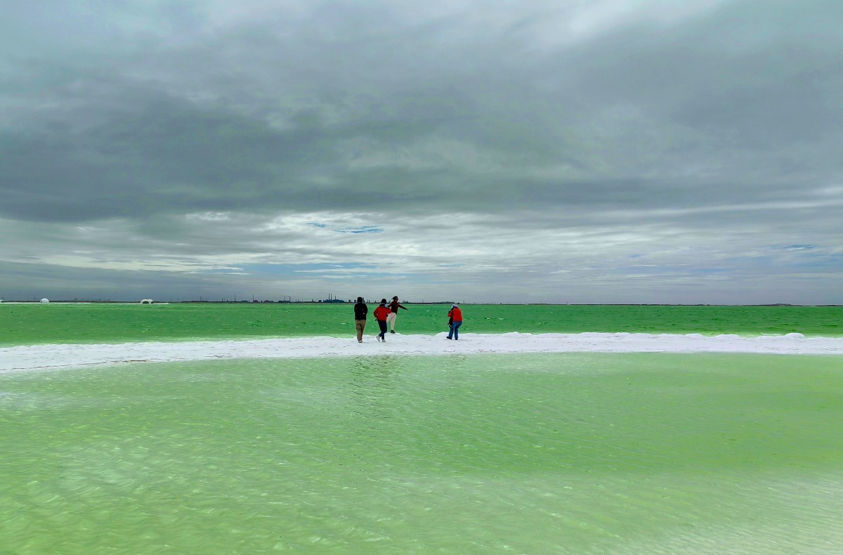 外出随拍（续198）.