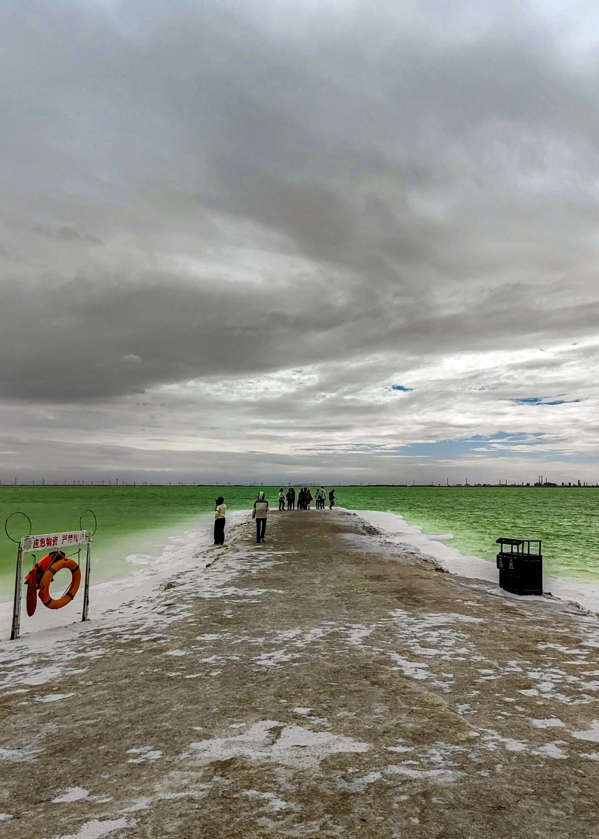 外出随拍（续198）.