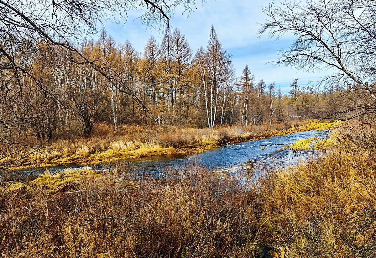 国庆跟团游#阿尔山国家森林公园风光