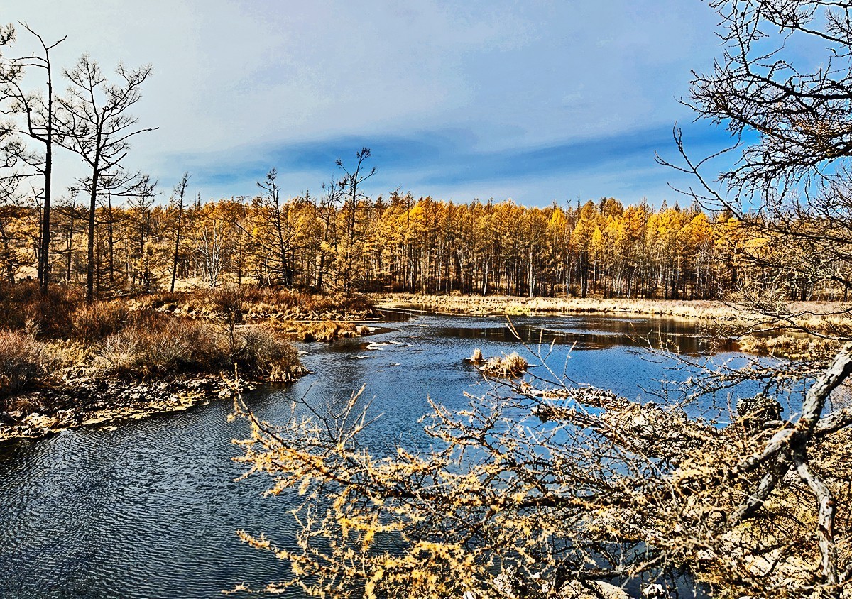 国庆跟团游#阿尔山国家森林公园风光
