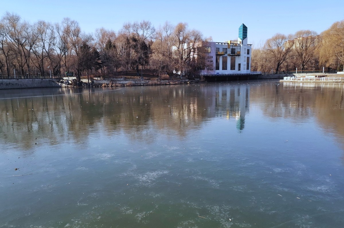 2024.11.19  哈尔滨仍无雪