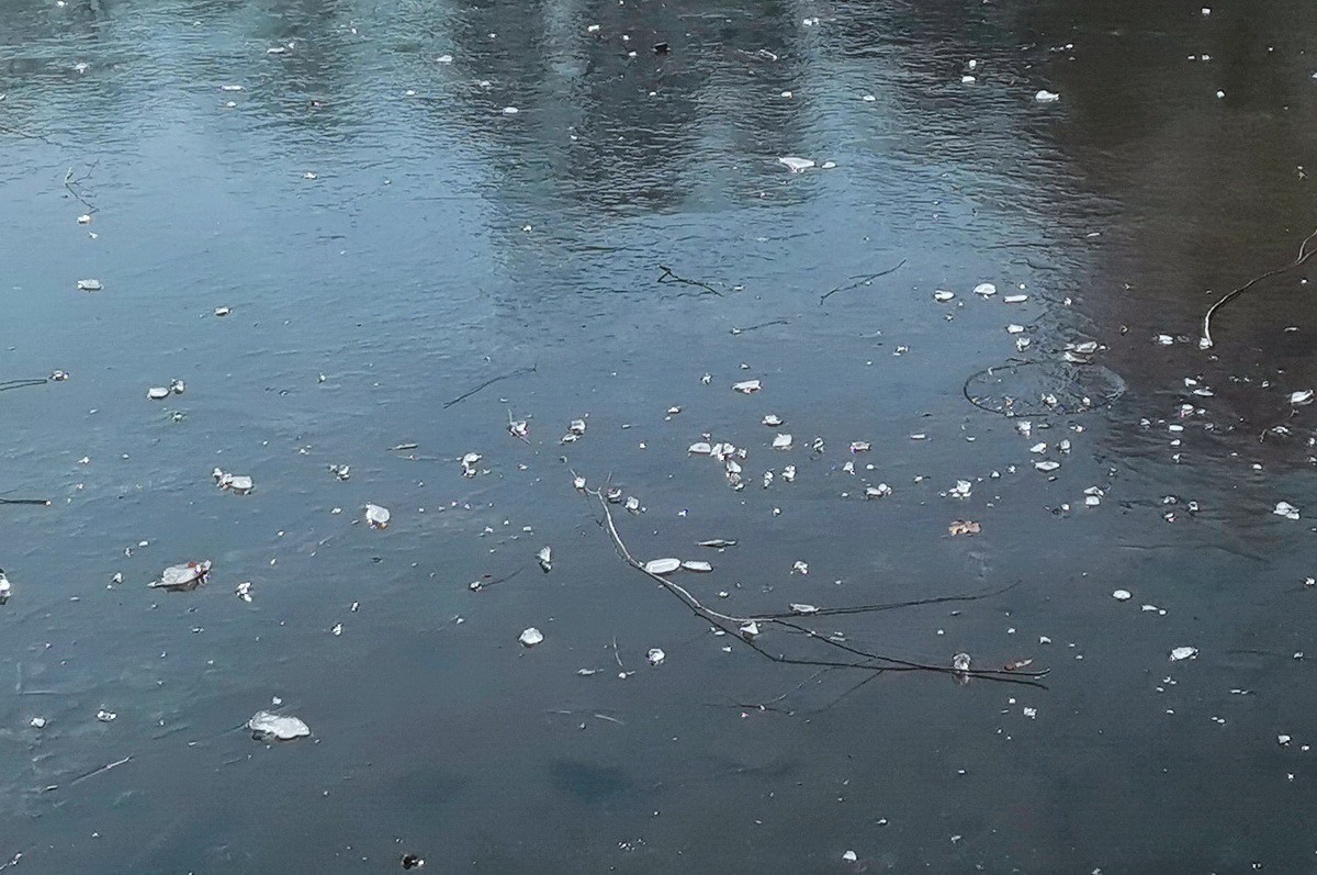 2024.11.19  哈尔滨仍无雪