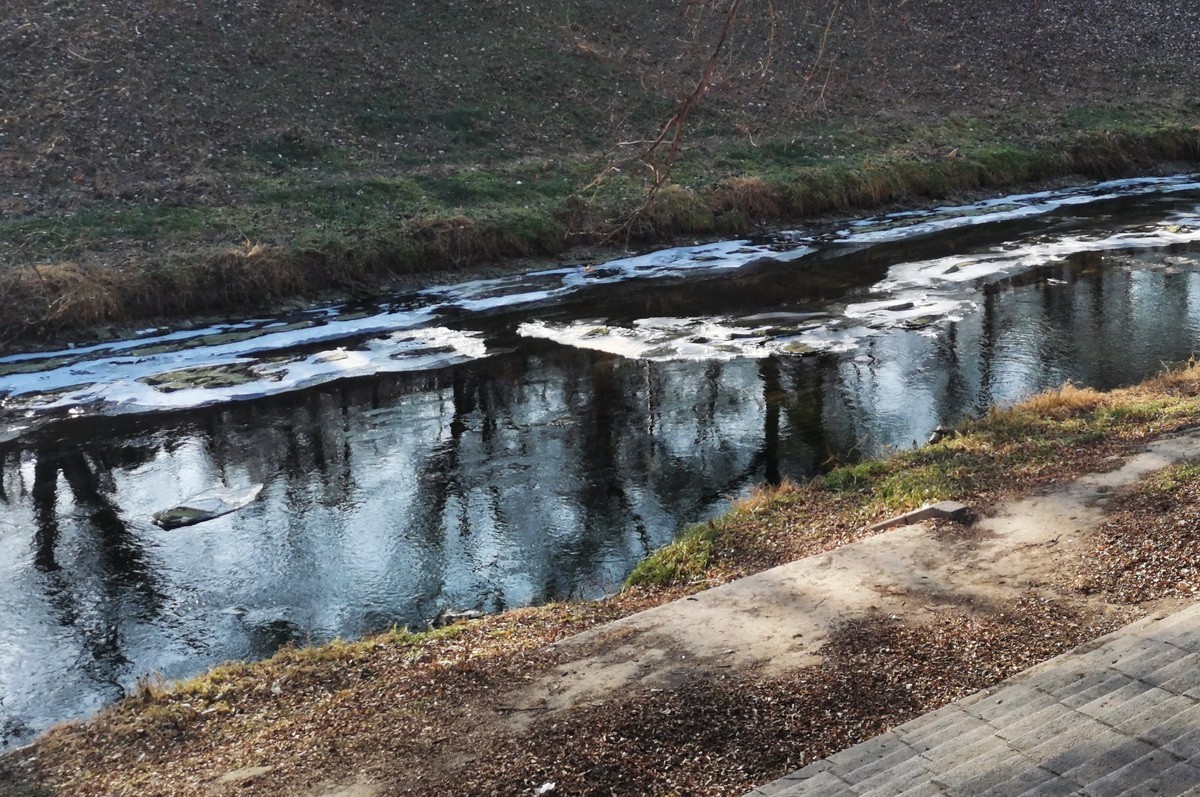 2024.11.19  哈尔滨仍无雪