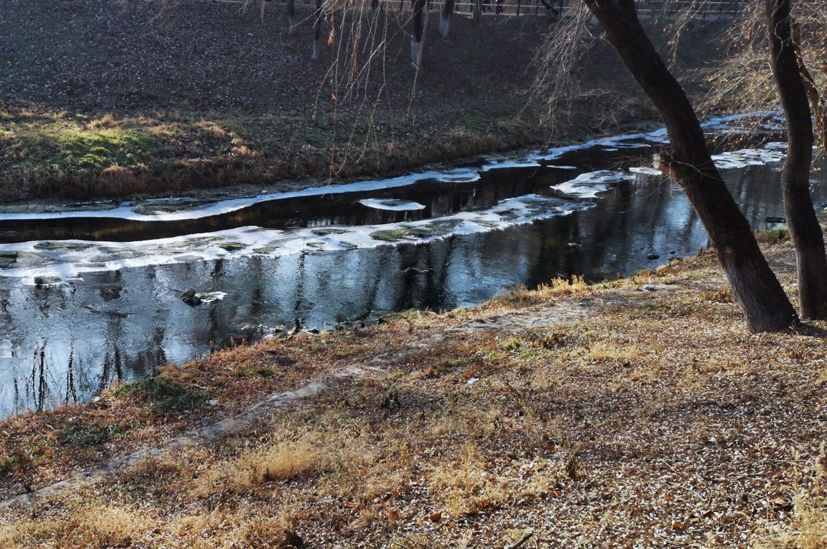 2024.11.19  哈尔滨仍无雪