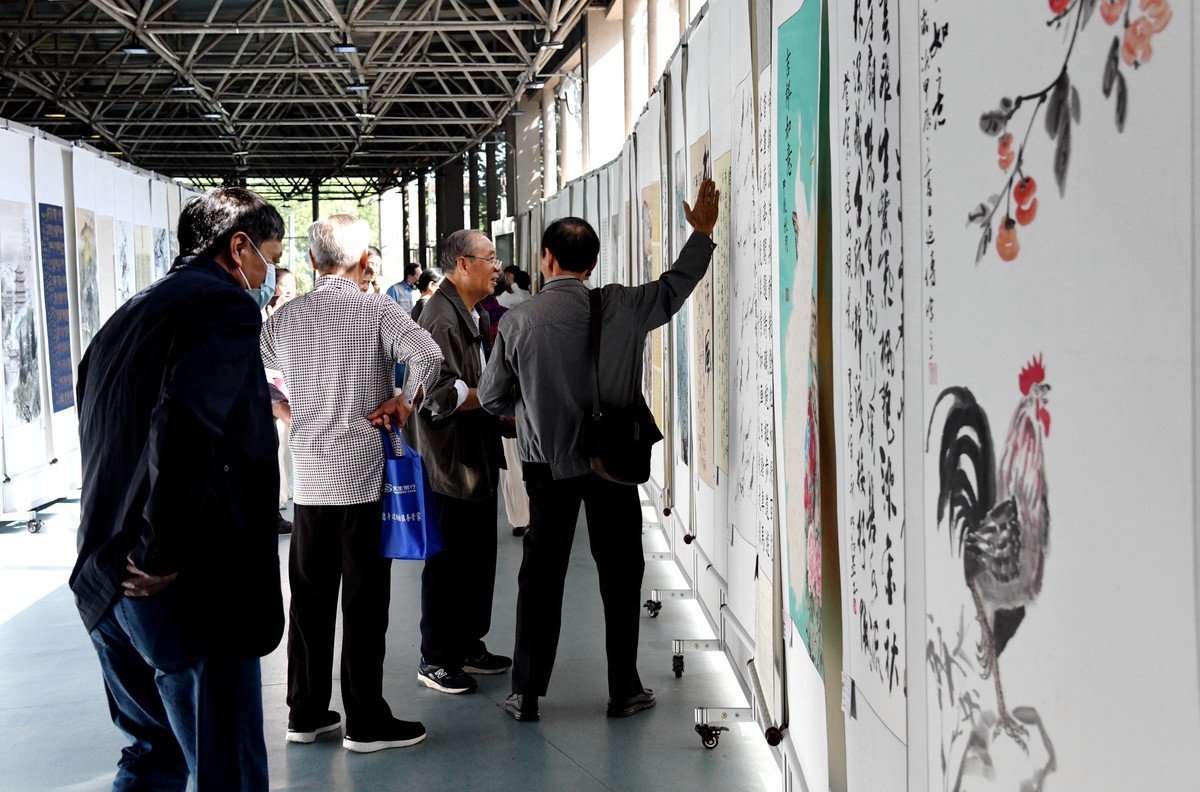 交流书画摄影展观感