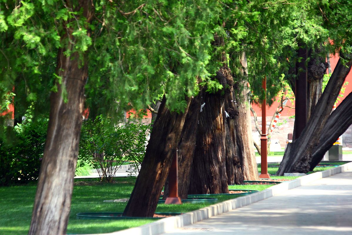 太庙（劳动人民文化宫）（三）
