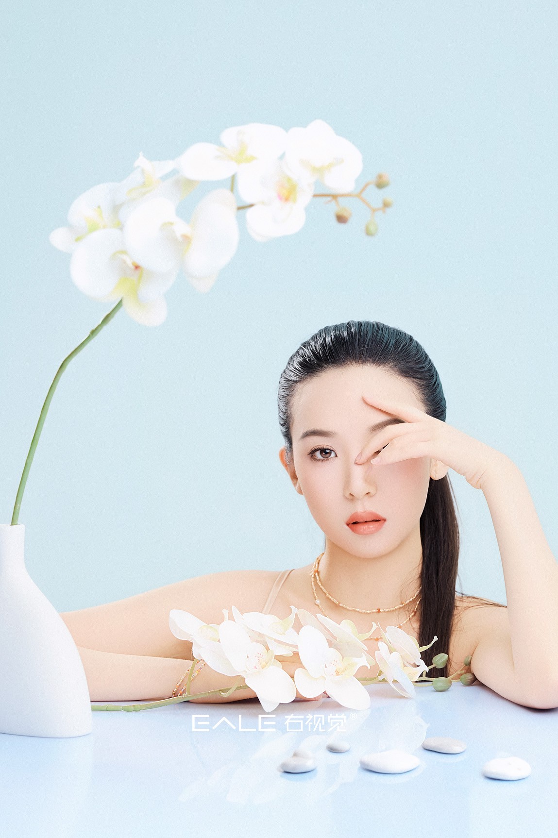 【右视觉摄影】芳华化蝶