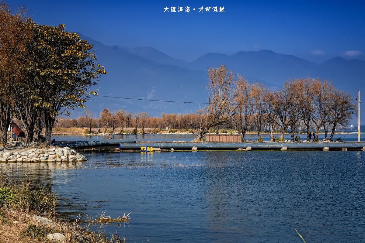 大理洱海 · 才村湿地（3）