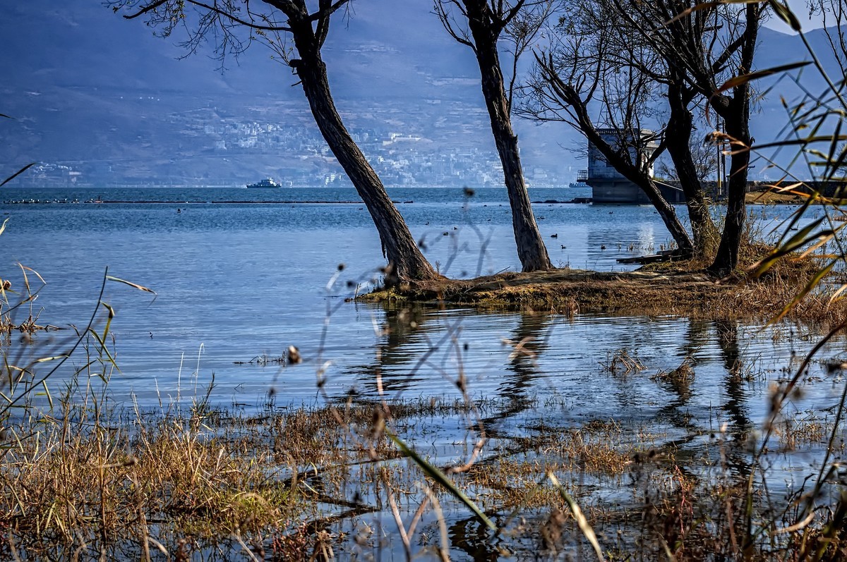 大理洱海 · 才村湿地（3）