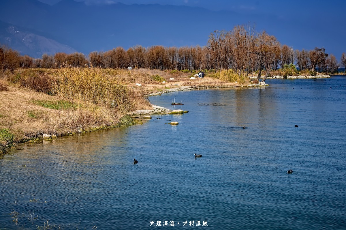 大理洱海 · 才村湿地（3）