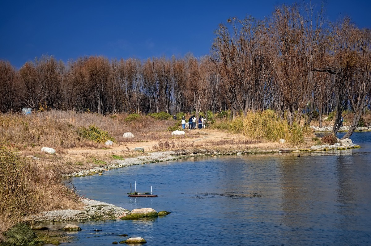 大理洱海 · 才村湿地（3）