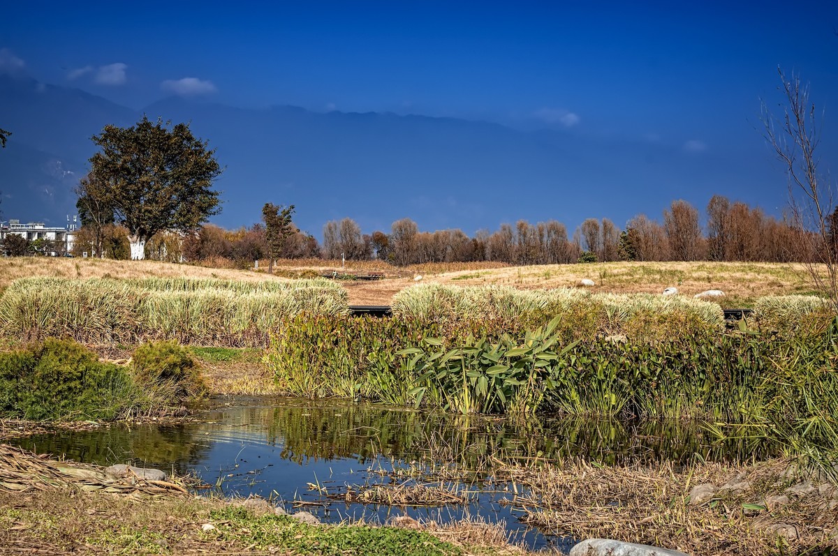 大理洱海 · 才村湿地（3）