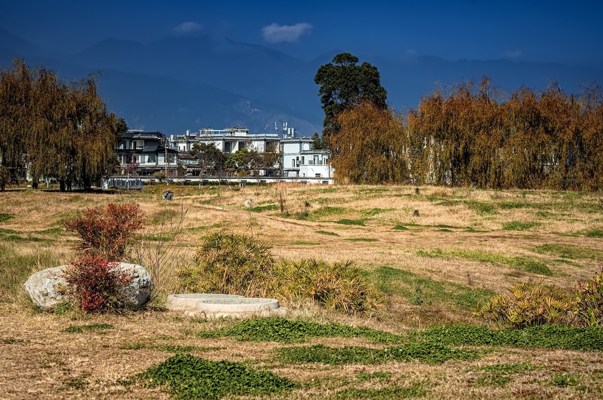 大理洱海 · 才村湿地（3）