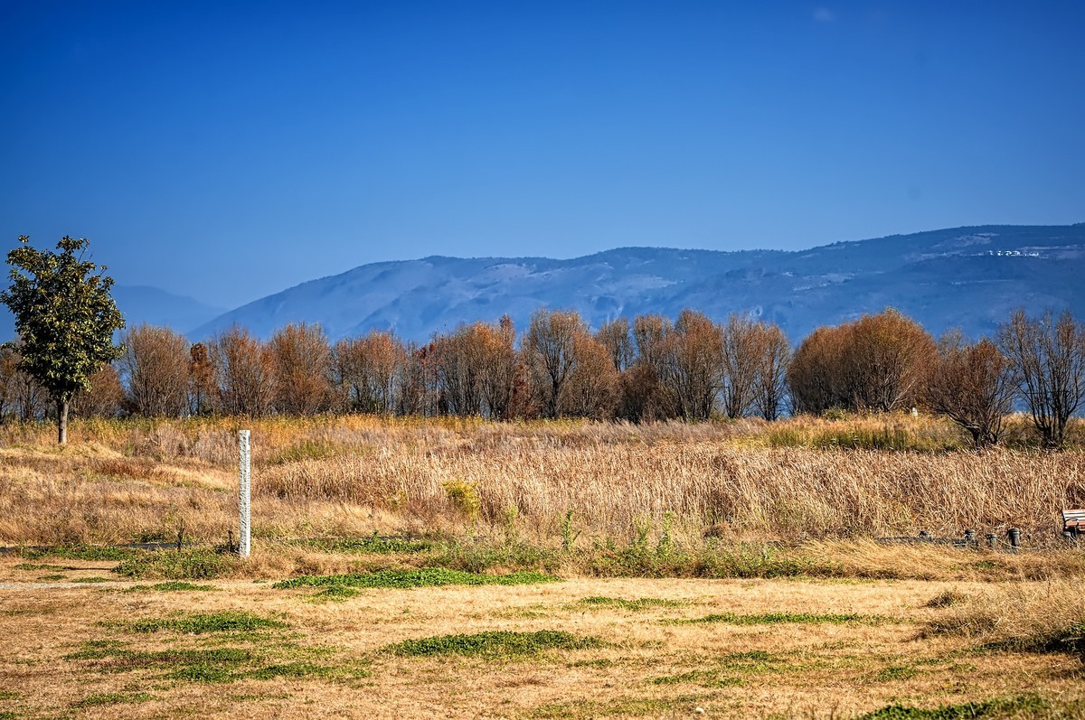 大理洱海 · 才村湿地（3）