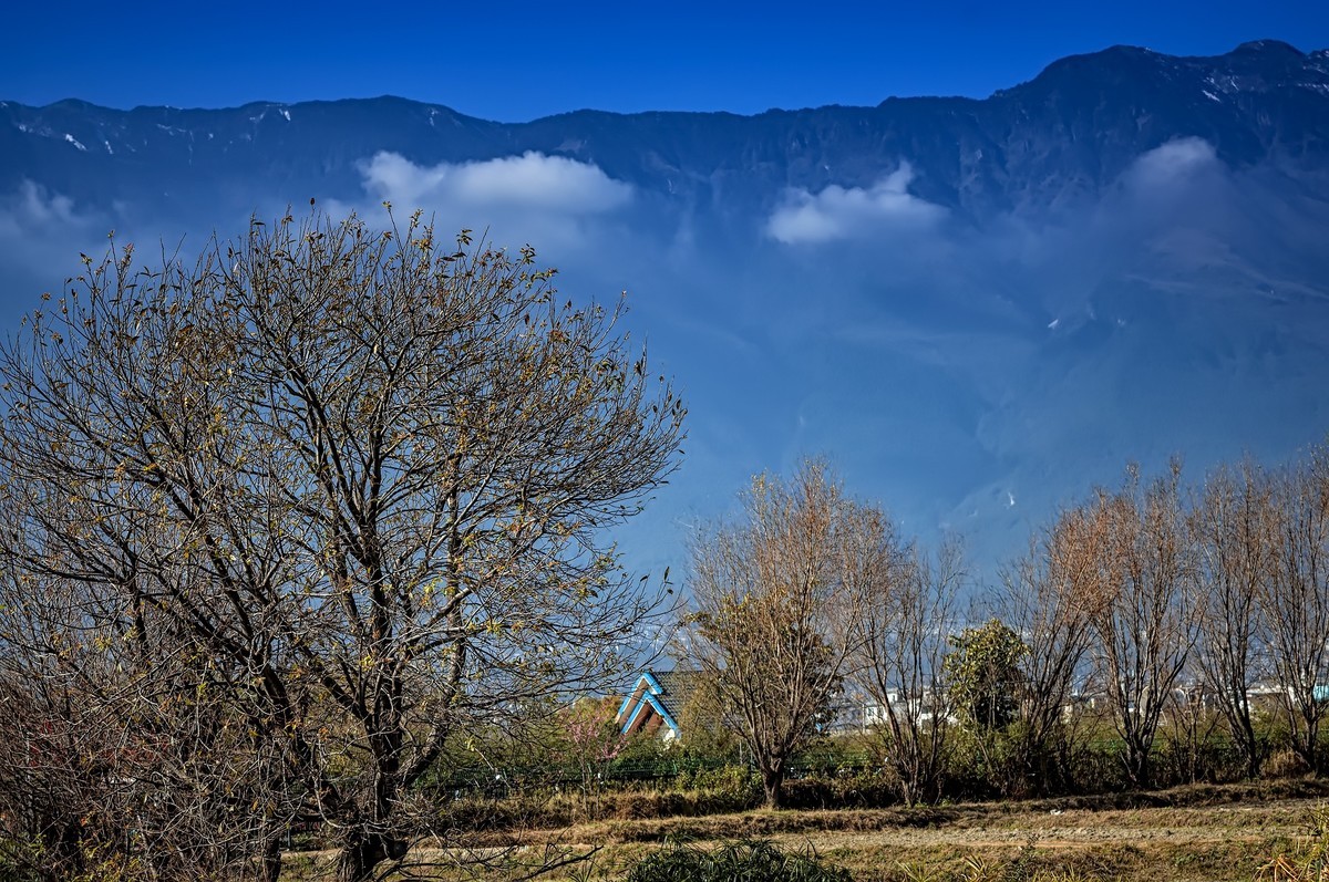 大理洱海 · 才村湿地（3）