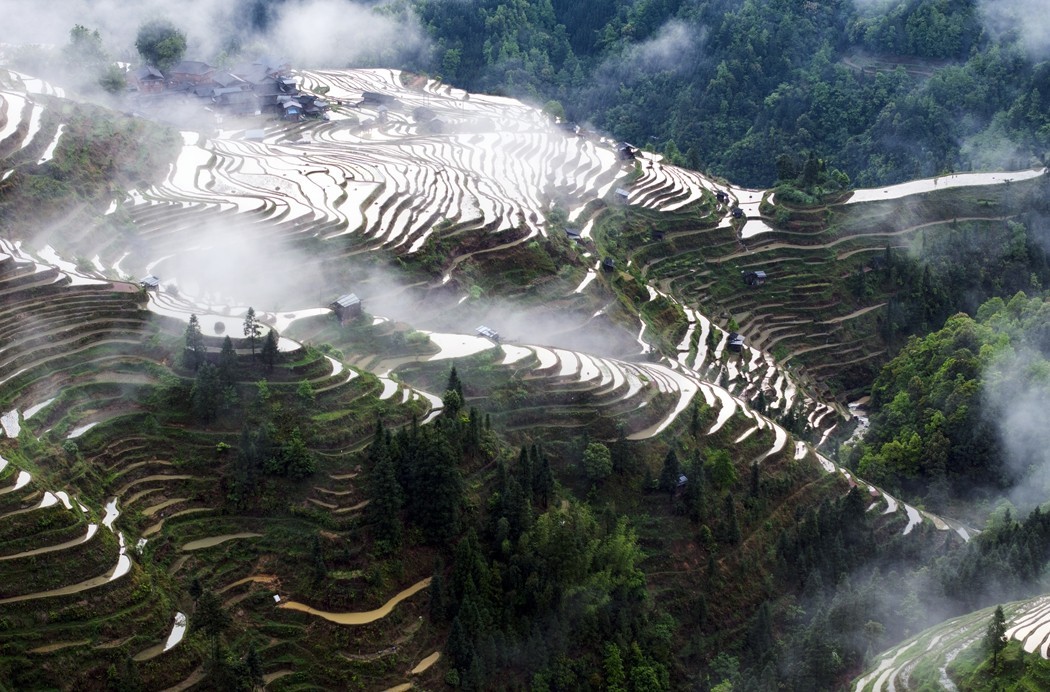 加榜梯田