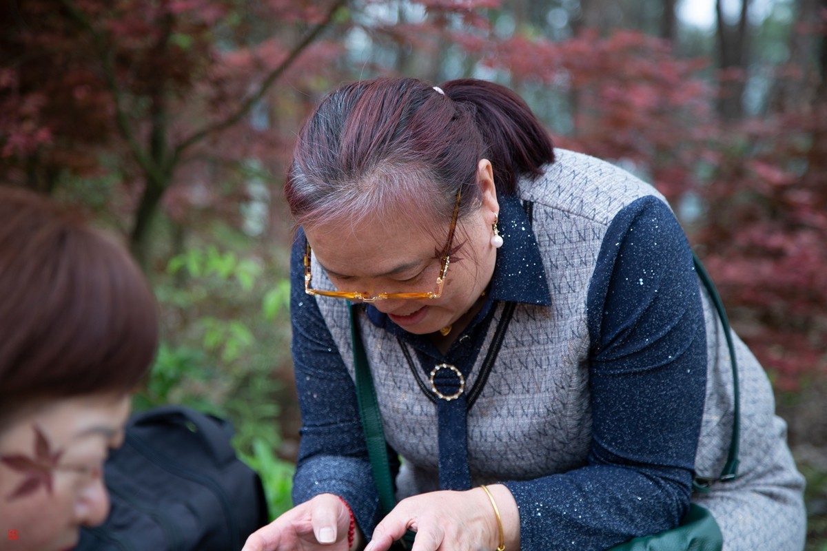 八塘黄金谷（10）