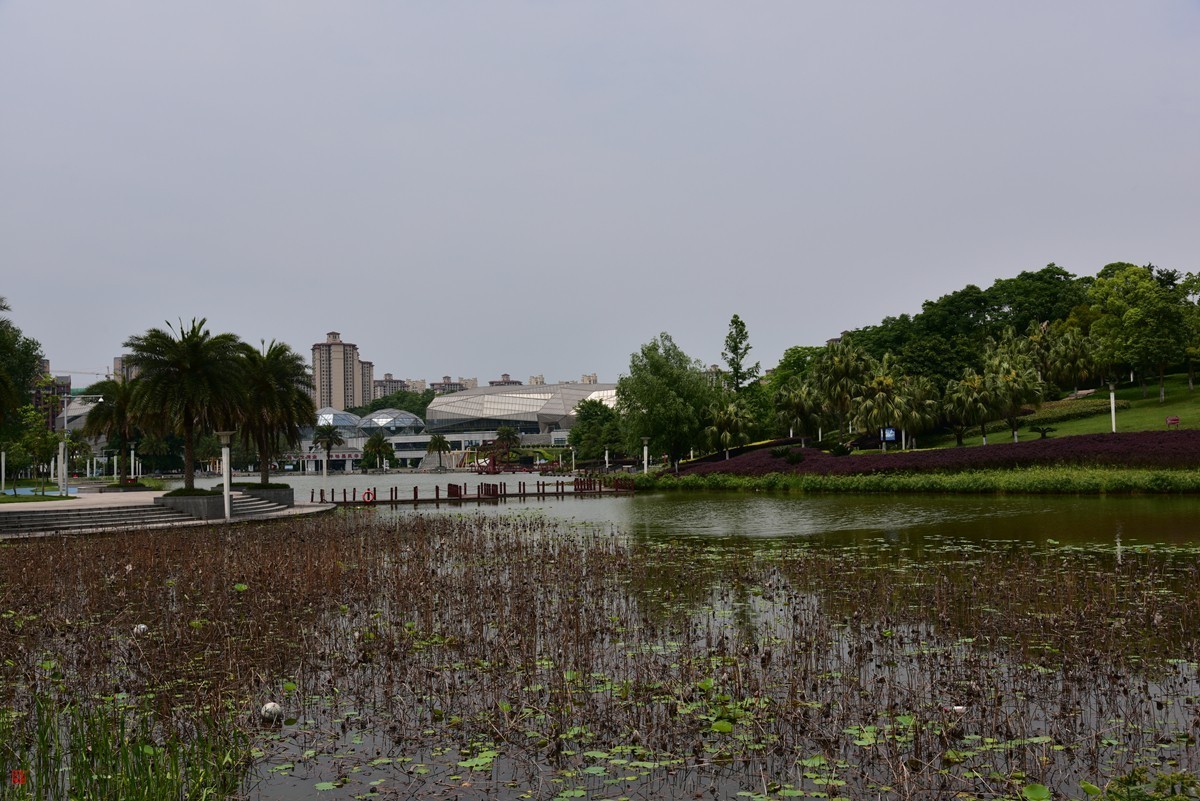 大足海棠湖公园（7）