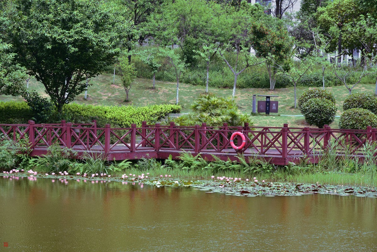 大足海棠湖公园（7）