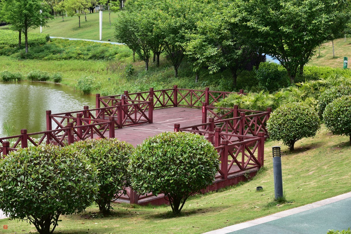 大足海棠湖公园（7）