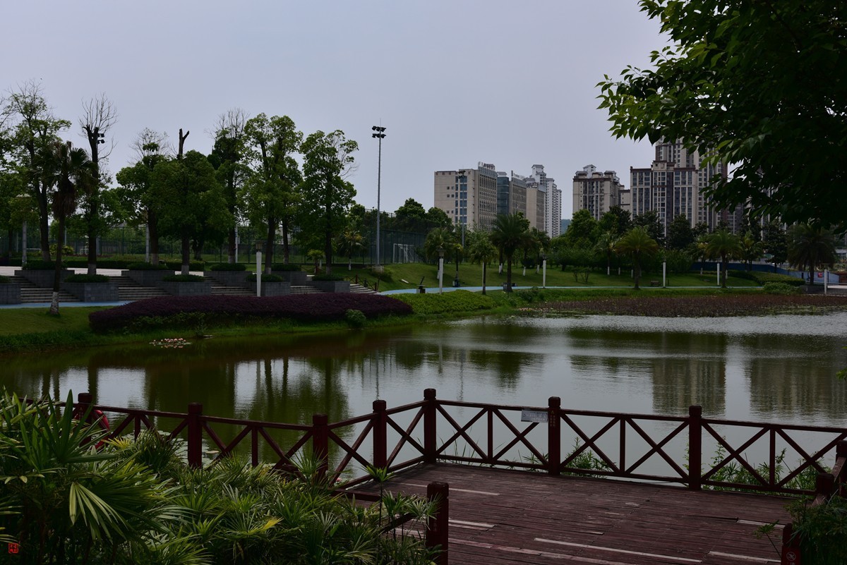 大足海棠湖公园（7）