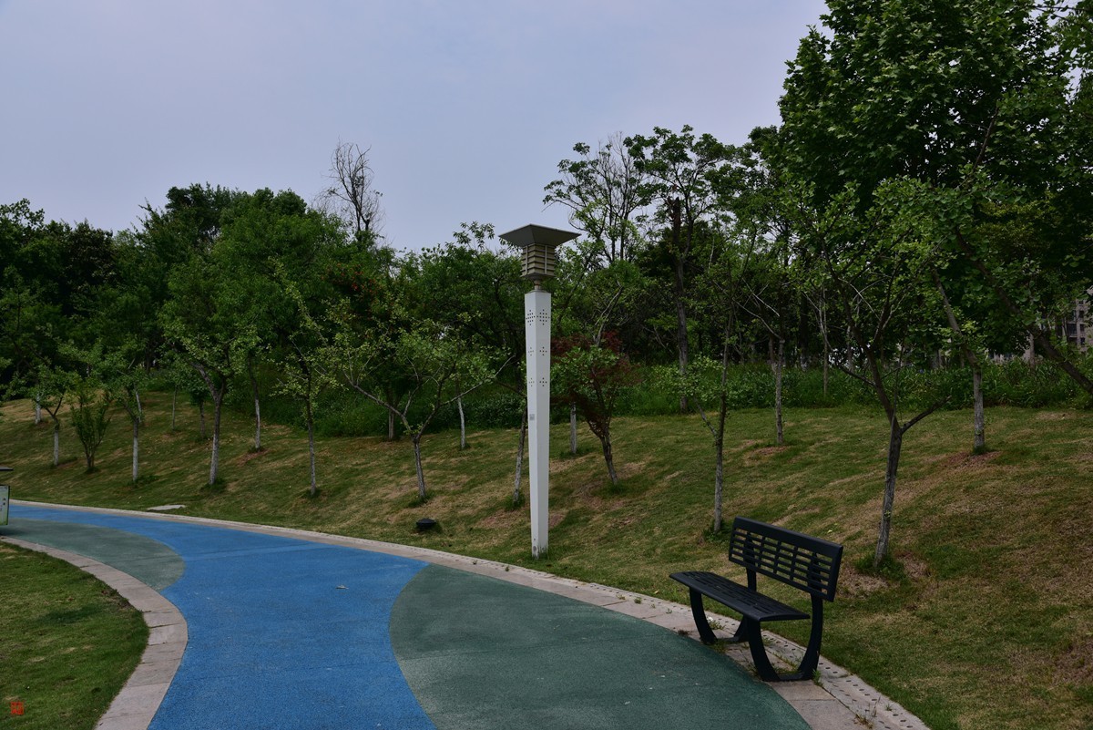 大足海棠湖公园（7）