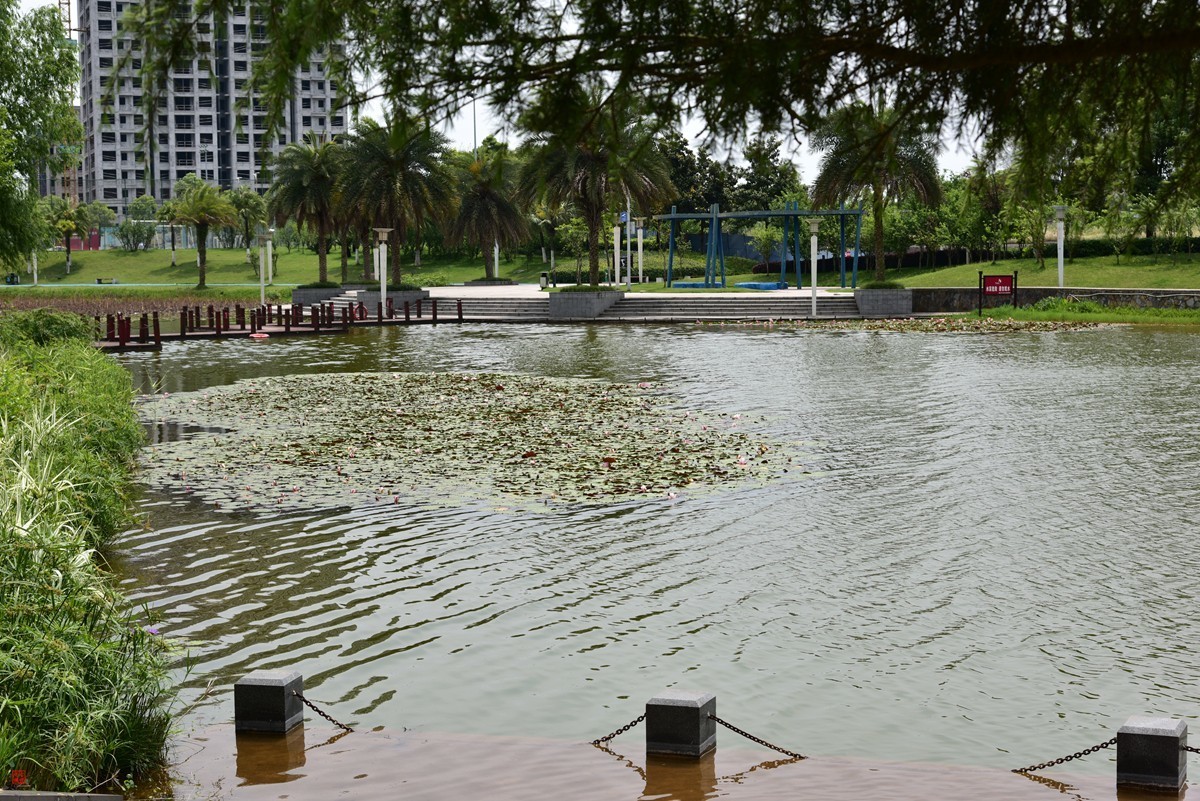 大足海棠湖公园（7）