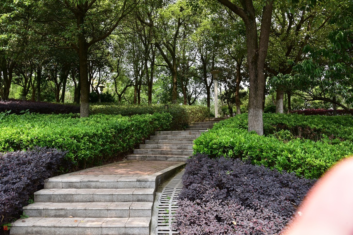 大足海棠湖公园（7）