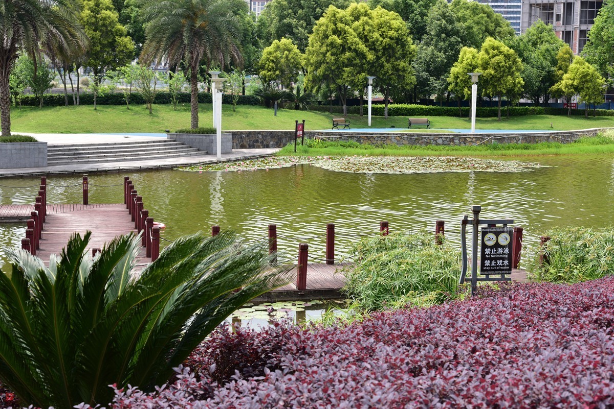 大足海棠湖公园（7）