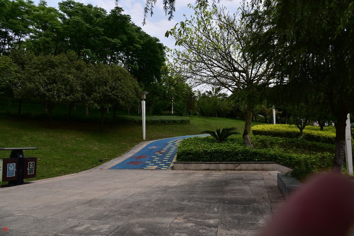 大足海棠湖公园（7）