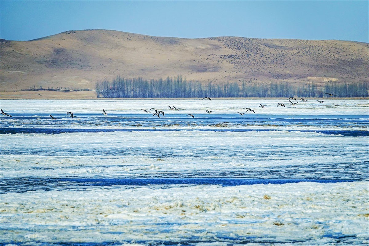 沐沦河早春风光