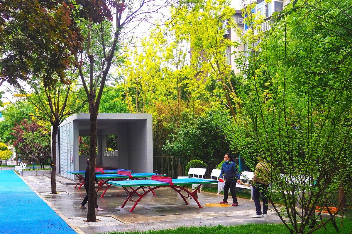 省城新景观街角小游园