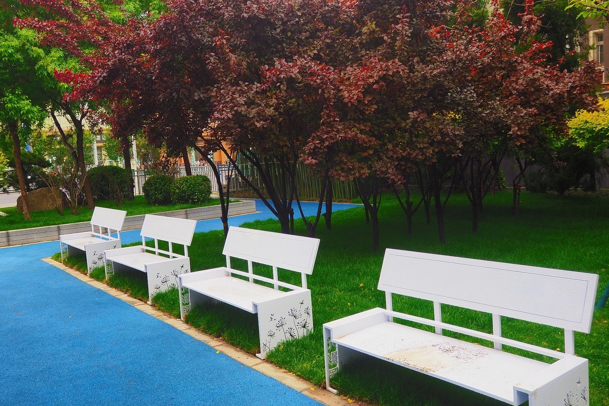 省城新景观街角小游园