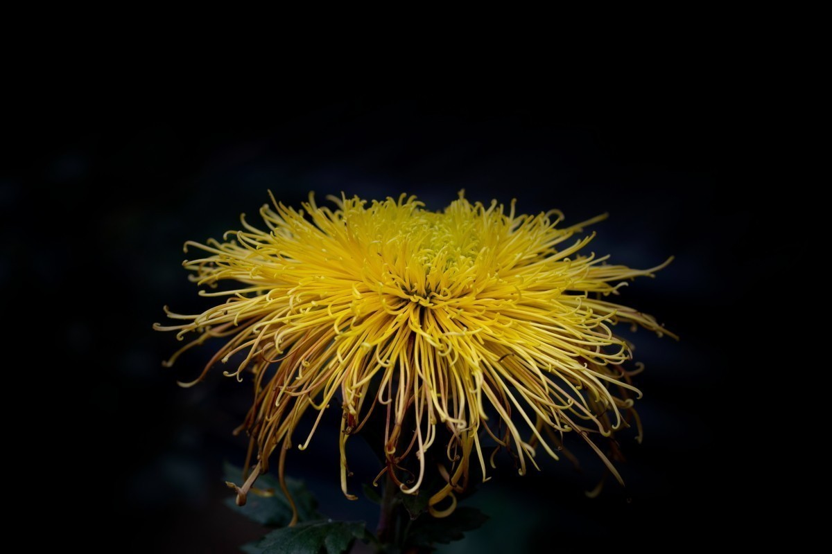 #版主坐堂#  2022年4～5月《佳能EF 16-35mm f/2.8L II USM镜头》星空(中国)优秀作品选编