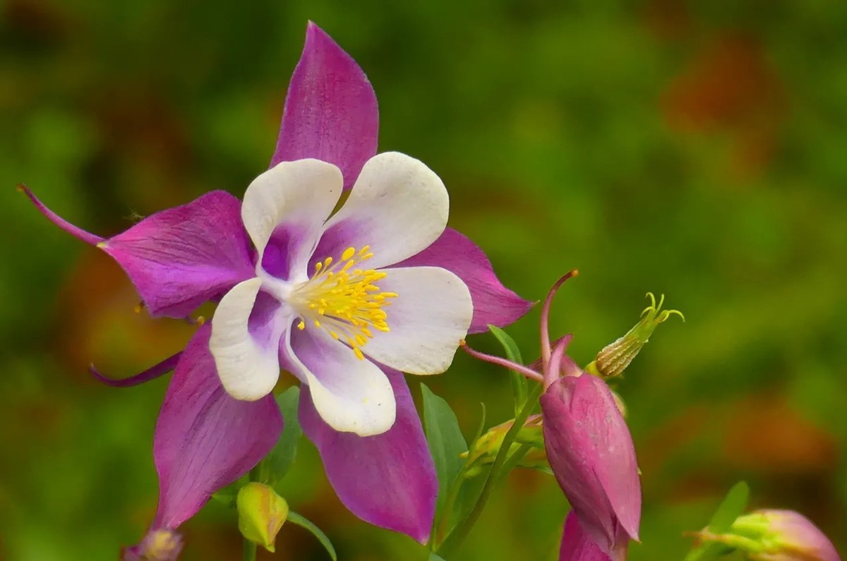 #版主坐堂#  2022年4～5月《佳能EF 16-35mm f/2.8L II USM镜头》星空(中国)优秀作品选编