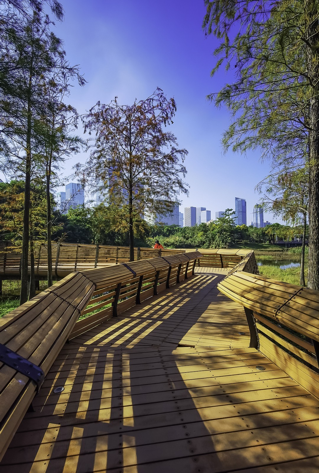 #留住美丽秋天#  金色的秋