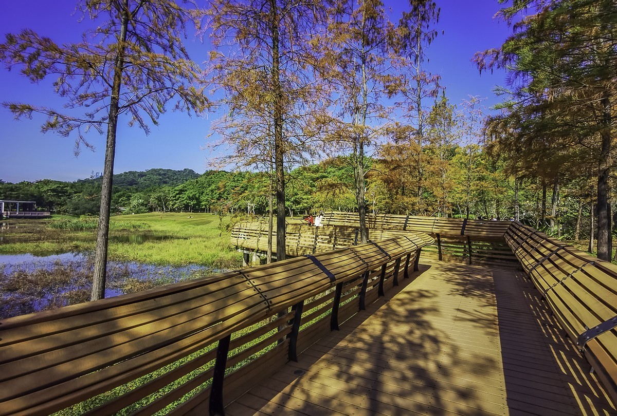 #留住美丽秋天#  金色的秋