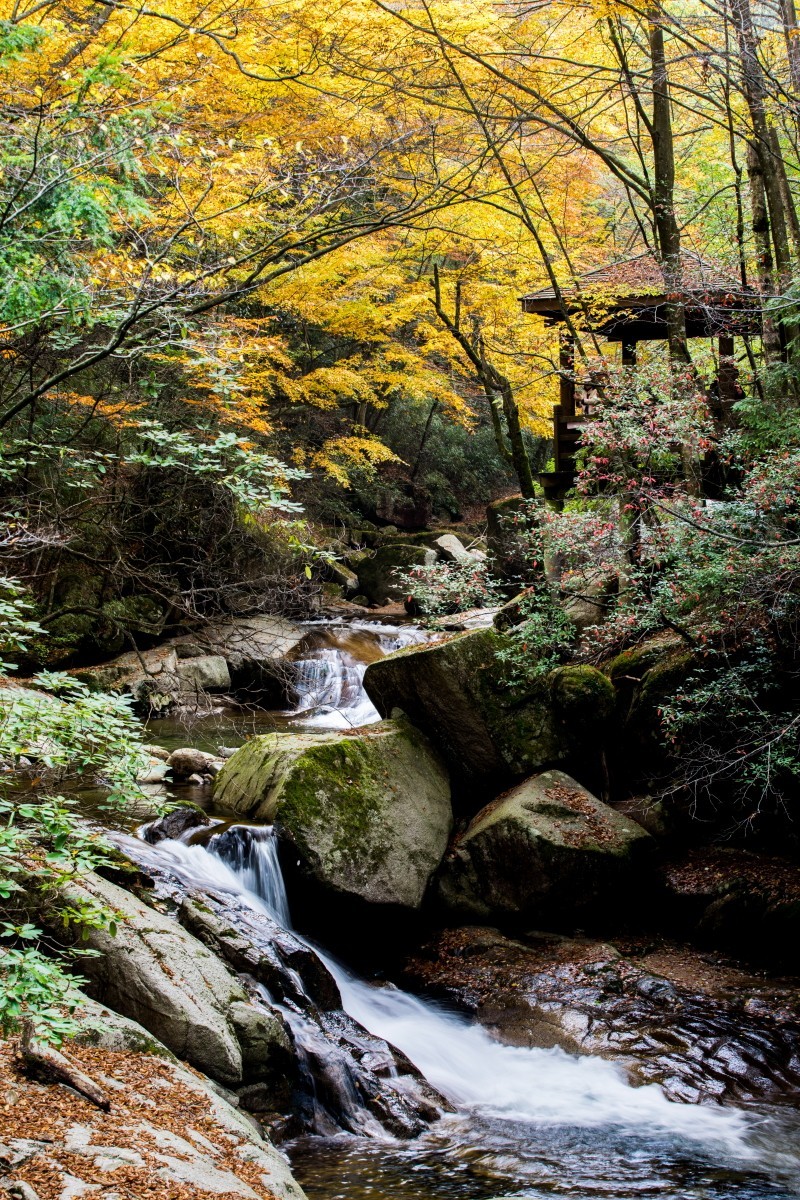 信阳十八潭风景区图片